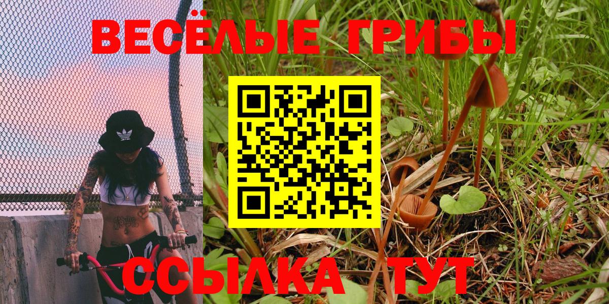 Псилоцибиновые грибы Cubensis Удомля