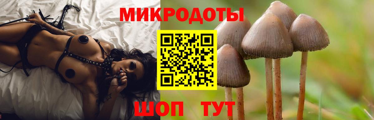 наркотики  Галлюциногенные грибы Psilocybine cubensis  Вход с VPN  Удомля 